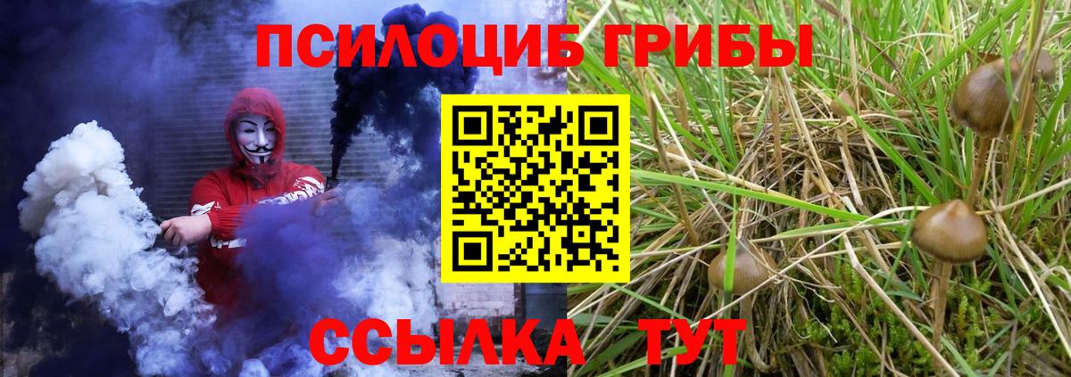 Сыктывкар  Псилоцибиновые грибы GOLDEN TEACHER  Вход с VPN 