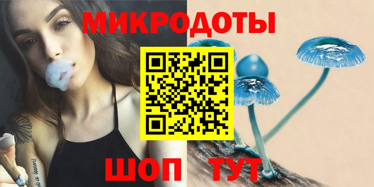 Псилоцибиновые грибы прущие грибы Сыктывкар